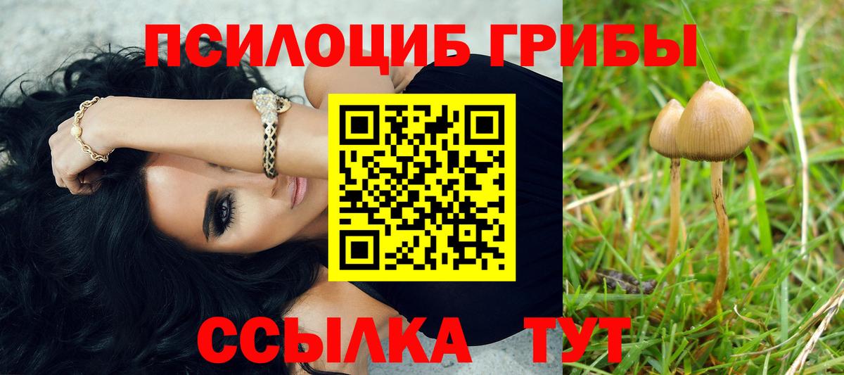 Галлюциногенные грибы GOLDEN TEACHER  Вход с VPN  Похвистнево 